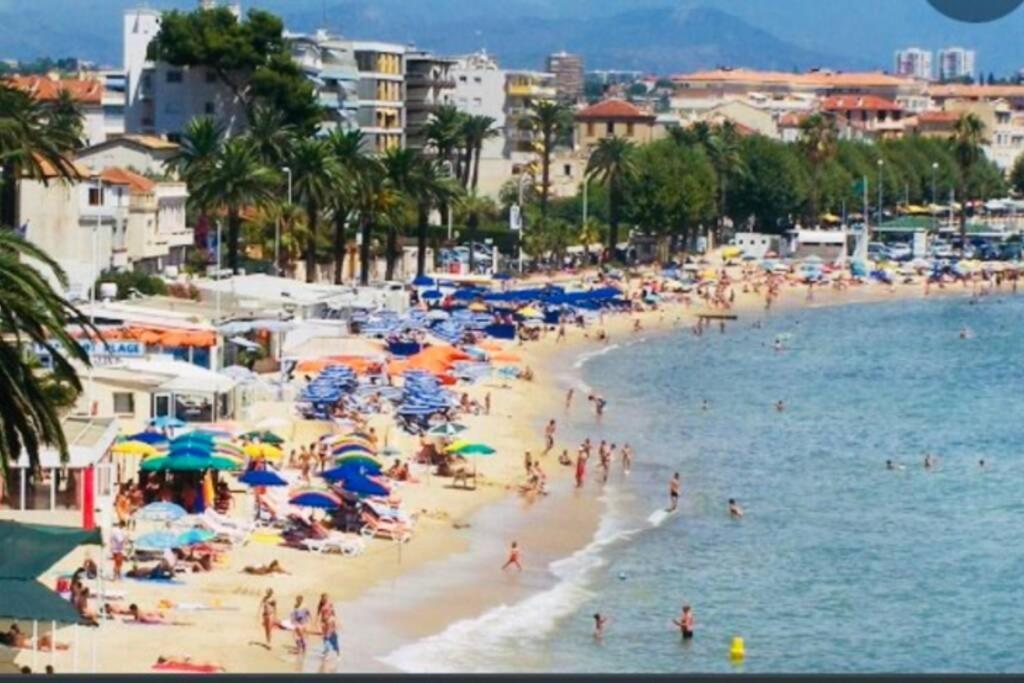 T2 Appartement Golfe Juan 47M2 Plages Et Port Vallauris Eksteriør billede