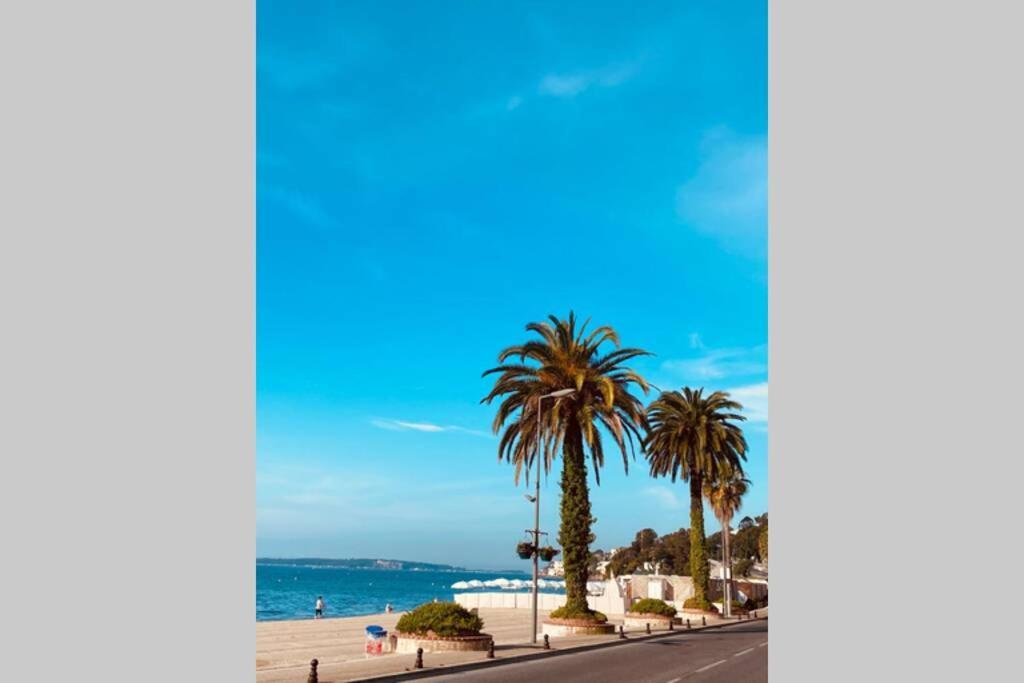 T2 Appartement Golfe Juan 47M2 Plages Et Port Vallauris Eksteriør billede